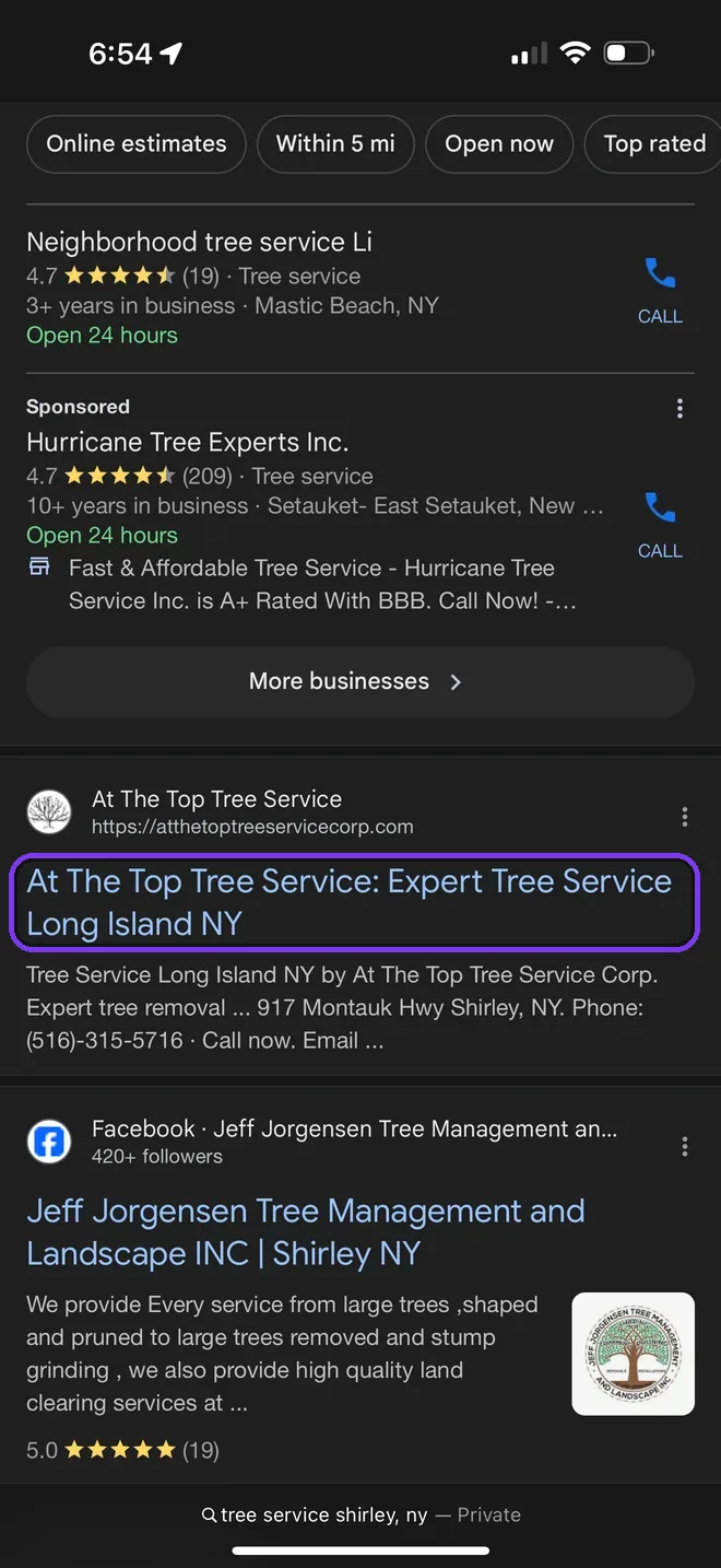 Google organic search results listing the client first