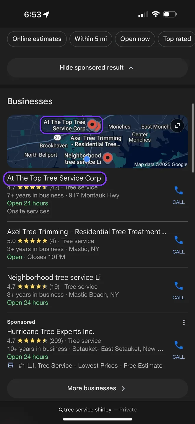Google Maps results for tree service showing client in the top map pack